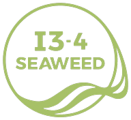 I3-4-SEAWEED